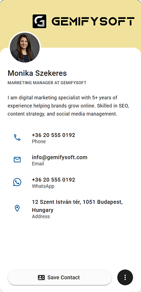 GemCard Interface 5